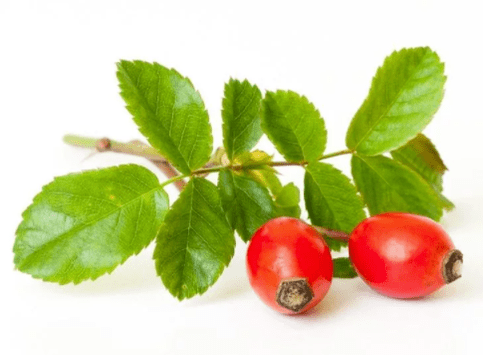 Rosehip στο Gluconol